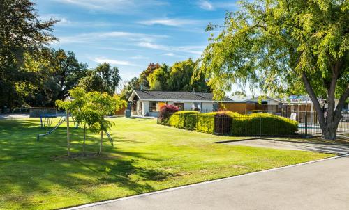 a yard with a tree and a house at Cherylea Motel in Blenheim