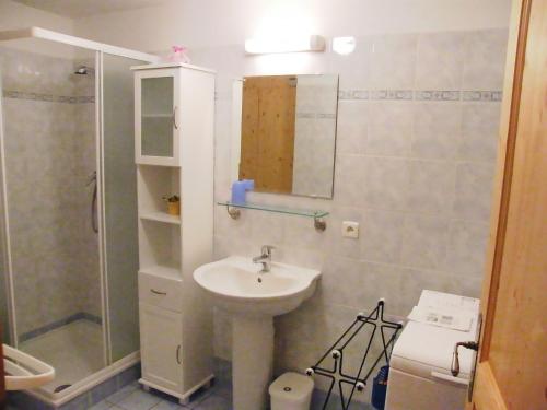 サン・ジェルヴェ・レ・バンにあるApartment Conseil-6の小さなバスルーム(シンク、シャワー付)