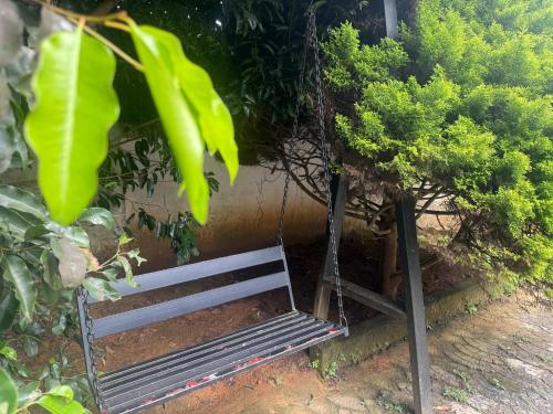 a swing hanging from a tree in a garden at Empire Private Pool Villa in Kalpetta