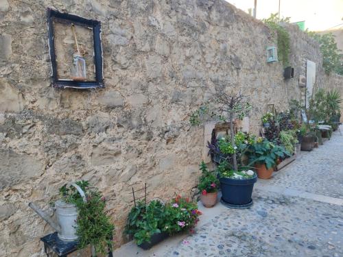 a stone wall with a bunch of potted plants at The best location in Makarska,free P, option bikes in Makarska