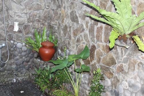 Сад в Tegal Jero Homestay