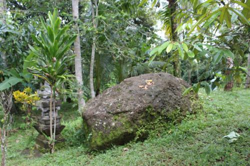 Сад в Tegal Jero Homestay