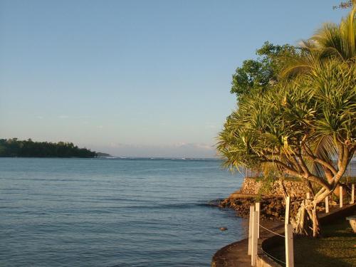 a view of a body of water with palm trees at Pacific Lagoon Apartments in Port Vila