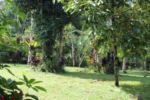 Сад в Tegal Jero Homestay