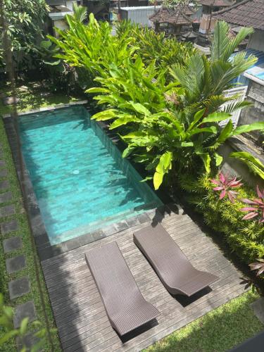 Dos sillas junto a una piscina con plantas. en D'tegal Guest House-Pool&Fast WiFi near Canggu Beach, en Tumbak Bayuh