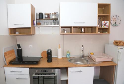a small kitchen with a sink and a counter at Villa Volk in Ilirska Bistrica