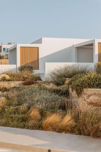 a garden of rushes and grass in front of a building at Aelo Mykonos Hotel in Paradise Beach
