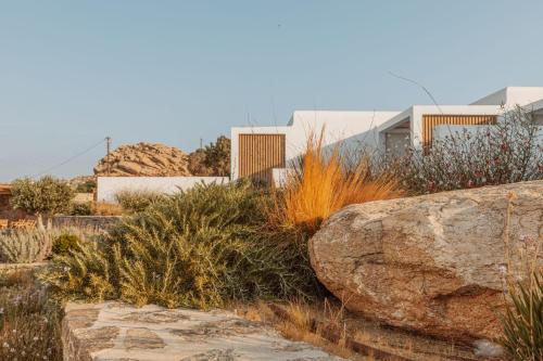 a garden with a large boulder and grass at Aelo Mykonos Hotel in Paradise Beach
