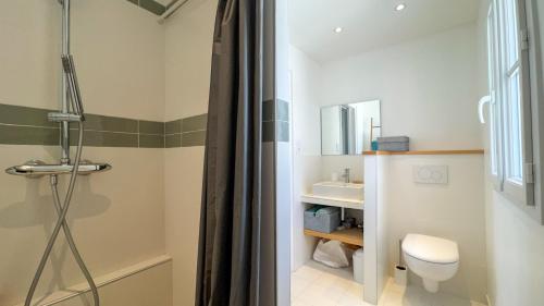a bathroom with a shower with a toilet and a sink at Jolie maison rénovée sur Loix in Loix