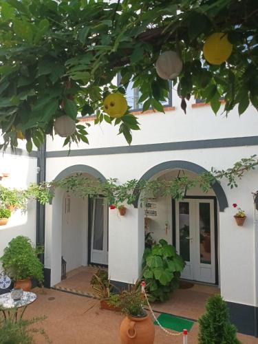 an entrance to a building with potted plants at Pátio da Villa - Coruche Boutique Guest House in Coruche