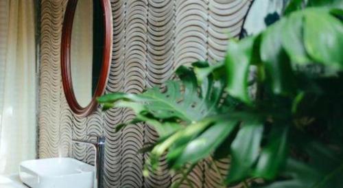 a bathroom with a plant in front of a wall at Jun's Home in Buon Ma Thuot