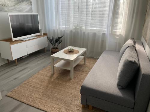 Μια τηλεόραση ή/και κέντρο ψυχαγωγίας στο Beach House Yyteri