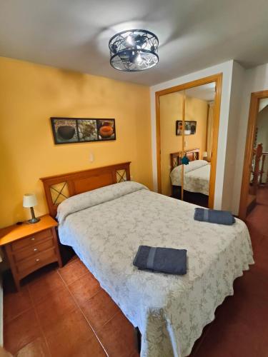 a bedroom with a large bed and a mirror at CASA RURAL EL CAIDERÓN in Ambel