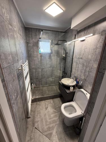 Koupelna v ubytování Apartamentul lui Radu