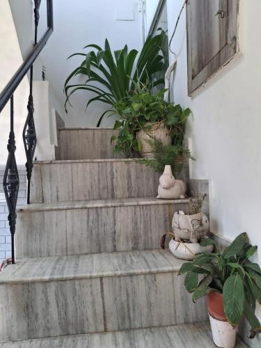 a set of stairs with potted plants on them at Sunrise Villa in Kharar