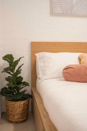 a bedroom with a bed with a potted plant at Garden Apartment in the heart of Bondi in Sydney