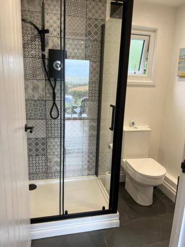 a bathroom with a shower and a toilet at The Lodge in Perranporth