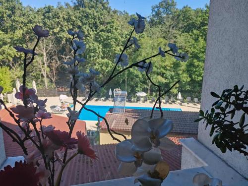 a group of flowers in a vase next to a pool at Anthimos in Baile Felix