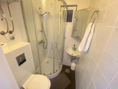 a bathroom with a shower and a toilet and a sink at Apartment Sanja in Primošten