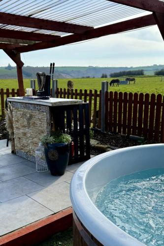 Gallery image of Ballinadee Bus - Boutique Bus Accommodation in Ballinadee