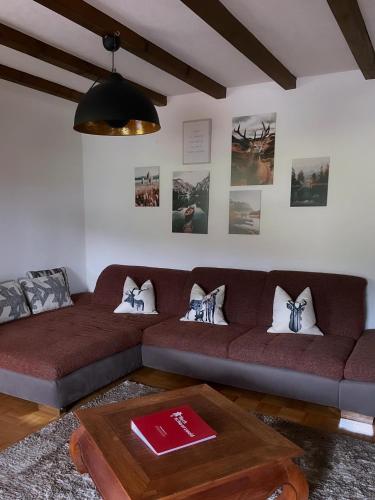 a living room with a brown couch and a table at Ferienhaus mit 3 Apartments - Rose Apartment - Top-Lage, Sauna, HS-Card in Feldberg