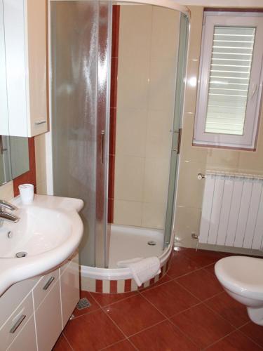 a bathroom with a shower and a sink and a toilet at Apartment Jure in Primošten