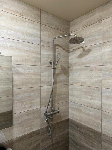 a shower in a bathroom with a glass wall at Kachanivska apartments in Kharkiv