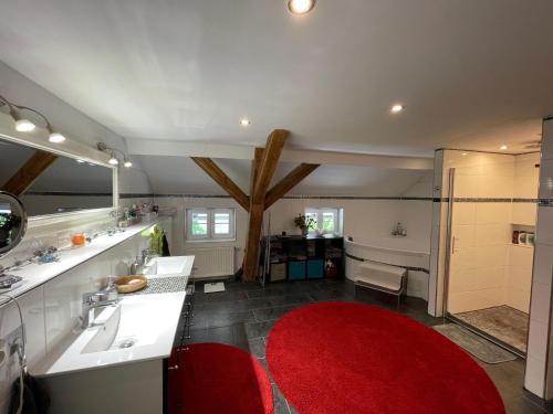 a bathroom with a sink and a red rug at Loftartiges Wohnen mit 4 separaten Schlafbereichen in Au in der Hallertau