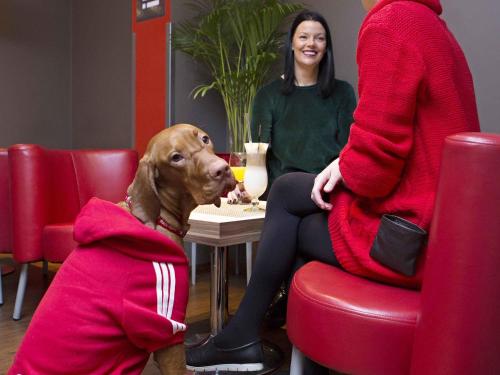 a dog sitting in a chair next to two people at Ibis Kaunas Centre in Kaunas