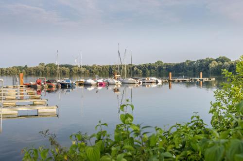 a group of boats docked at a dock on a lake at Ferienwohnungen Schoofs in Kalkar