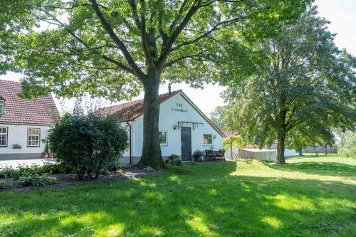 a tree in the grass in front of a white building at De Heerlijkheid in Groenlo