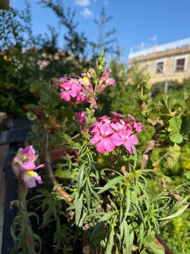 Κήπος έξω από το appartamento in villa a Pietragrande Villa Mi Vida