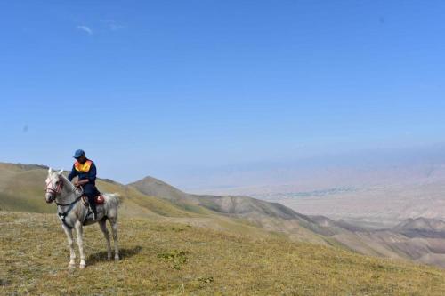 Επισκέπτες που μένουν στο гостевой дом Ildan-Nurlan, horse riding