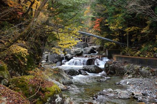 a stream in the middle of a forest at Vacation Rental あんばええ in Nakatsugawa