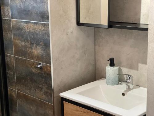 a bathroom with a sink and a shower at Lodge in Wrocław