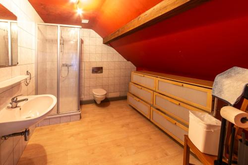 a bathroom with a shower sink and a toilet at Ludogite au coeur des Hautes-Fagnes in Sourbrodt