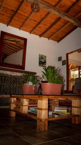 a wooden table with two potted plants on it at Hotel Boutique Santa Clara Mesa de los Santos in Los Santos