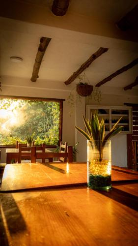 a wooden table with a vase with a plant on it at Hotel Boutique Santa Clara Mesa de los Santos in Los Santos