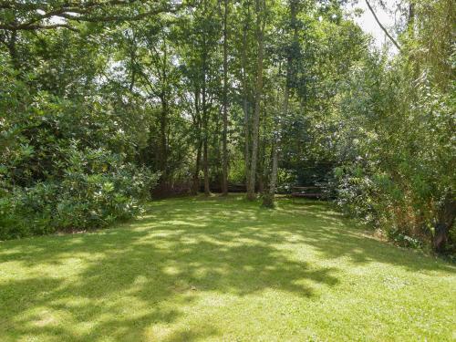 a large yard with trees and a bench in the middle at Woodpecker Rest in Cilgerran