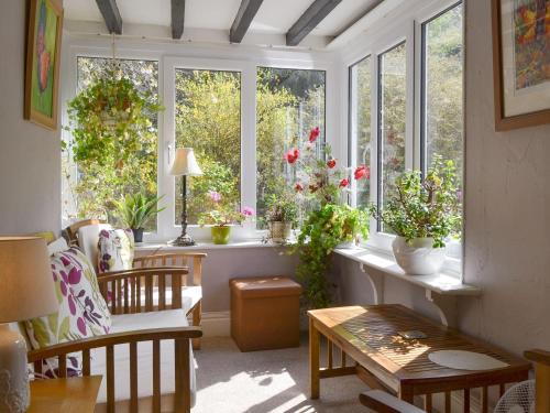 a room with windows with potted plants at Tom's Cottage in Dalton in Furness