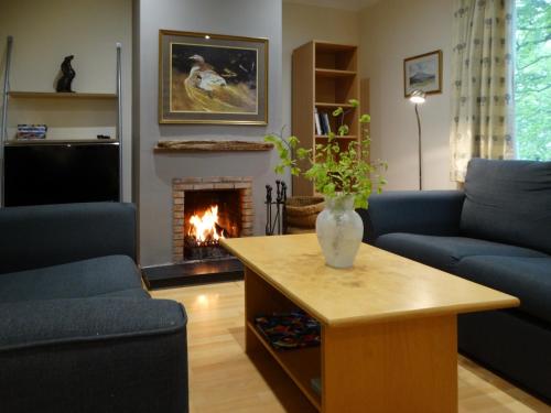 a living room with a couch and a fireplace at Scobach Lodge in Turriff