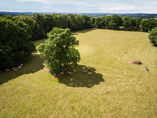 an overhead view of a large field with a tree at Bensfield Treehouse in Wadhurst