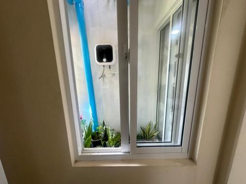 a window with plants in it in a room at Violetfehi Homestay in Fuvahmulah