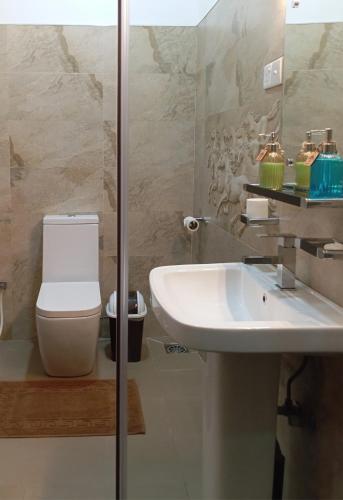 a bathroom with a sink and a toilet at Ark Cabin Villa in Kandy