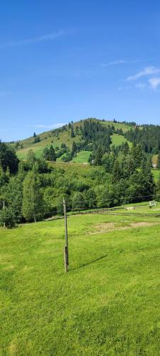 a wooden post in a field of green grass at Saduba Pushkarivchyk in Yablunytsya