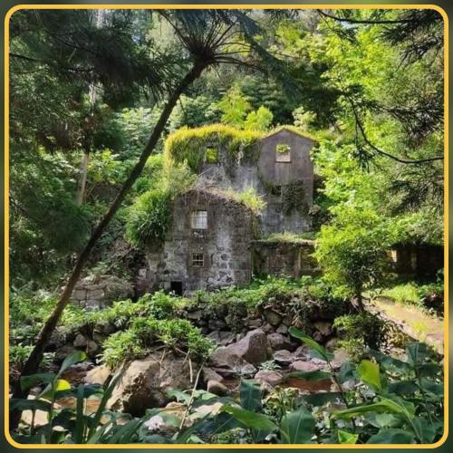 an old stone house in the middle of a forest at Herdade das Hortênsias in Santo Antão