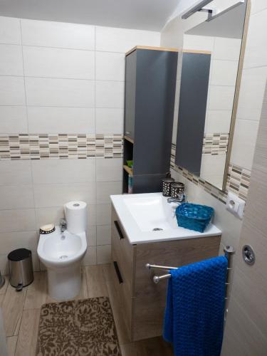 a bathroom with a sink and a toilet and a mirror at Il Paradiso Verde in Pagani