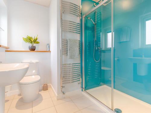a bathroom with a toilet and a glass shower at Twin Oaks in Fritton Norfolk