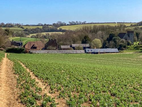 a field of crops with a farm in the background at The Hobbit House in Hastingleigh