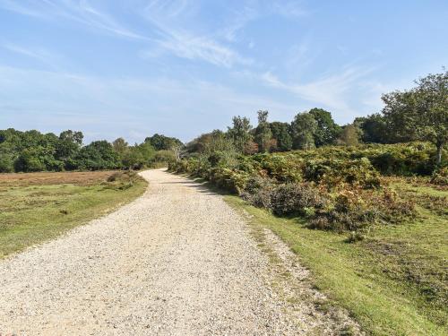 a gravel road in a field with trees at The Cottage At Dockens Water in Fritham